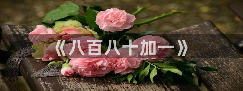 国产aⅴ精东影业：《八百八十加一》