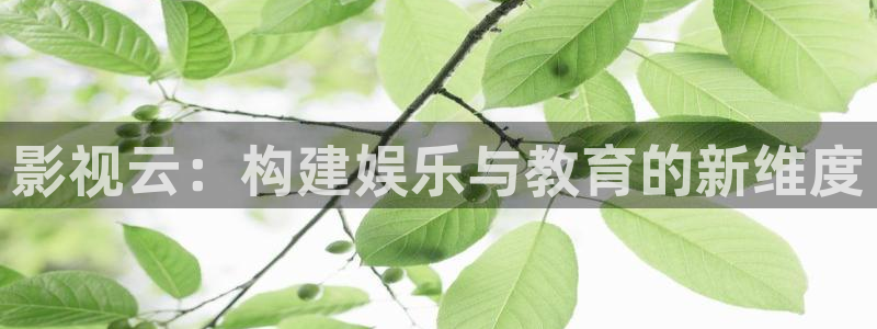 精东影业传媒mv：影视云：构建娱乐与教育的新维度