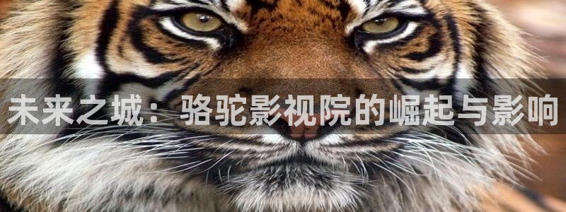 91制片厂天美传媒精东影业：未来之城：骆驼影视院的崛起与影响
